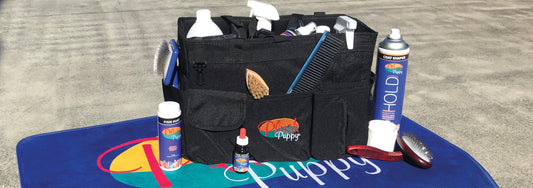 6 Essential Tips to Prepare for Your First Dog Show Competition