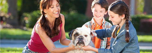 Bathtime 101: Tips For Your Four-Legged Friend