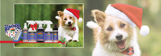 Picture-Perfect Pooches: Styling Tips for Festive Dog Photos