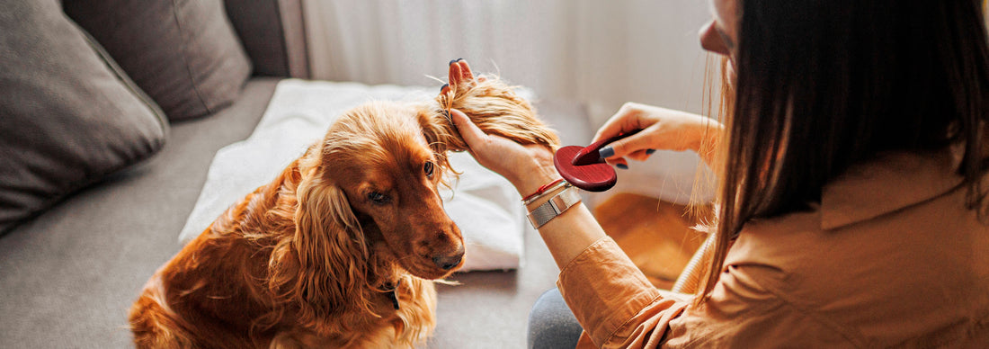 Why The Ultimate Soft Slicker Brush Is The Most Popular