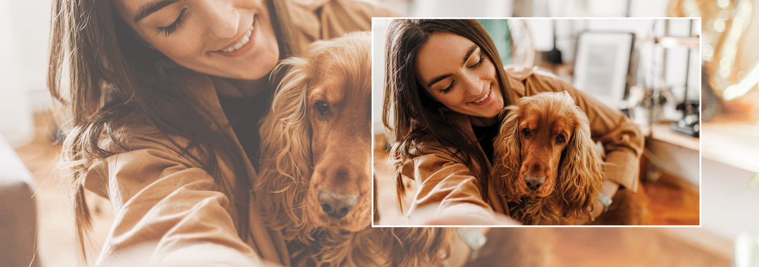 The Hidden Benefits of Regular Grooming for Dogs