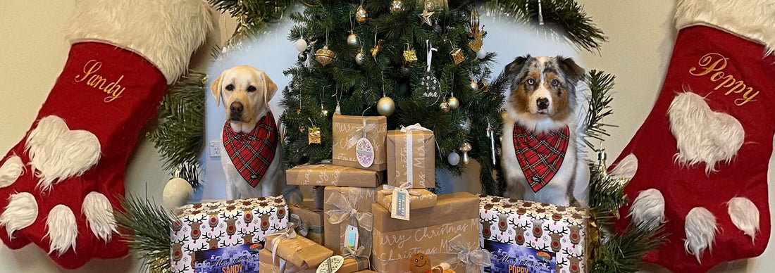 The Top Gifts for New Puppy Families This Christmas