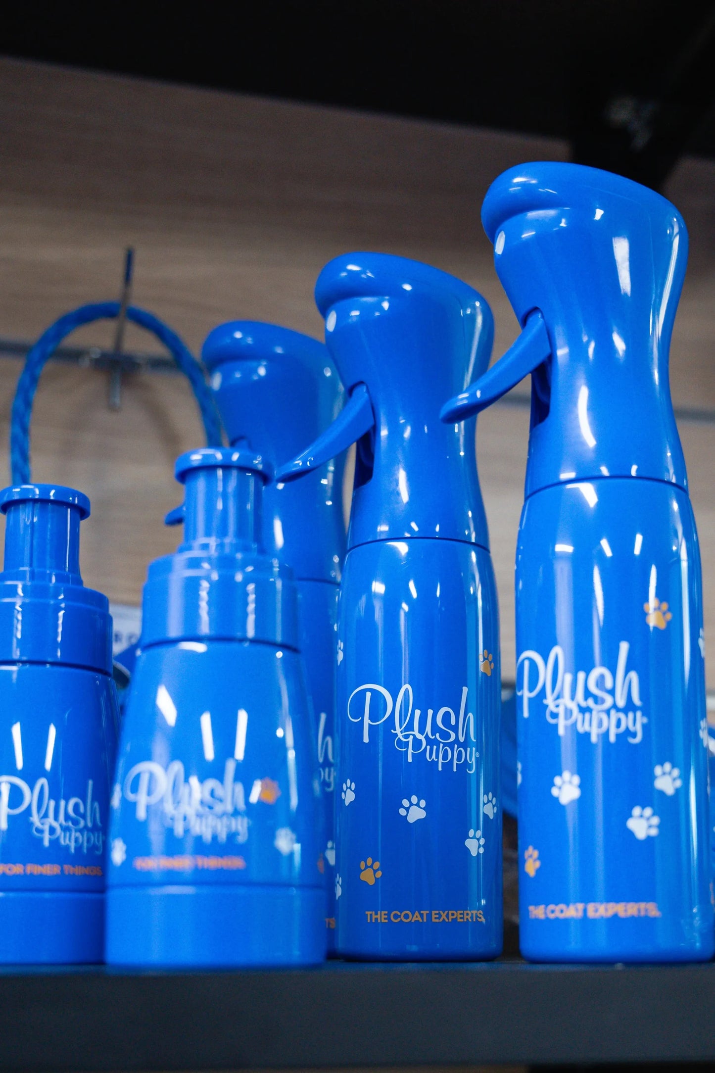 Continuous Spray Bottle