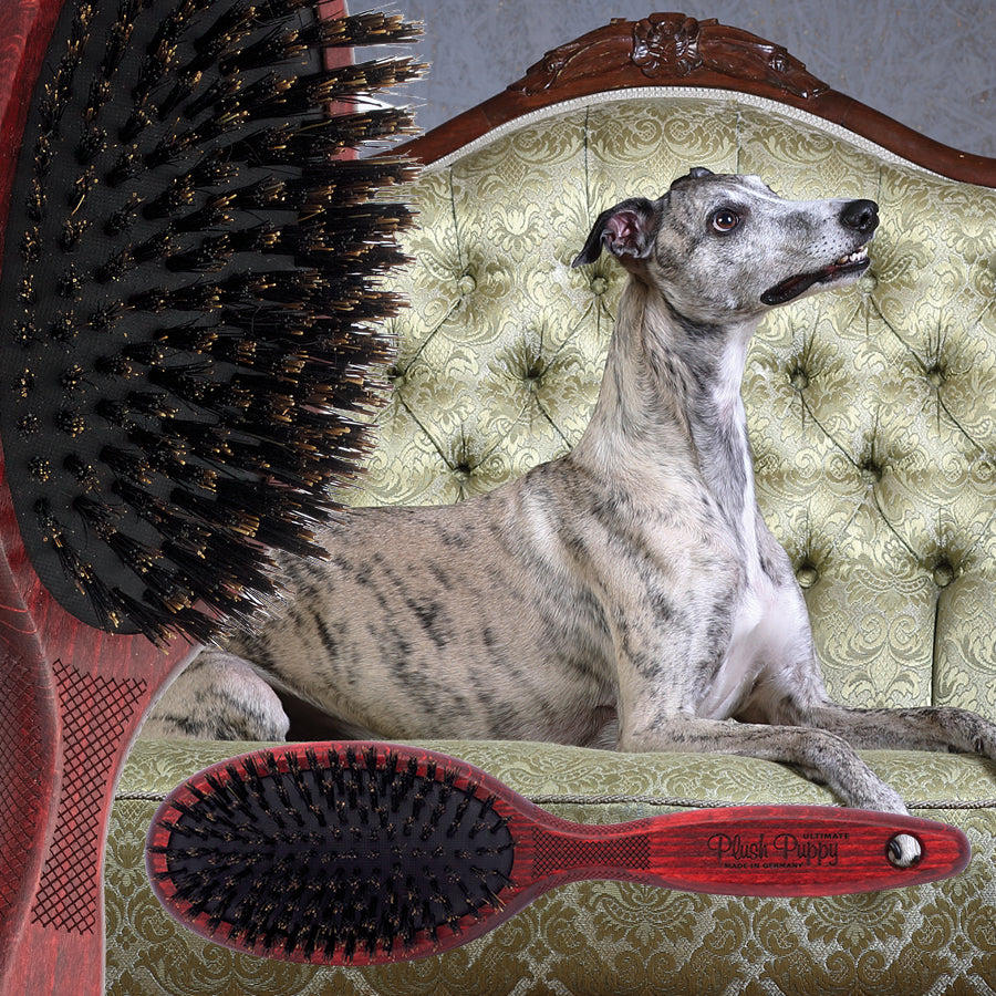 Ultimate Pure Boar Bristle Brush