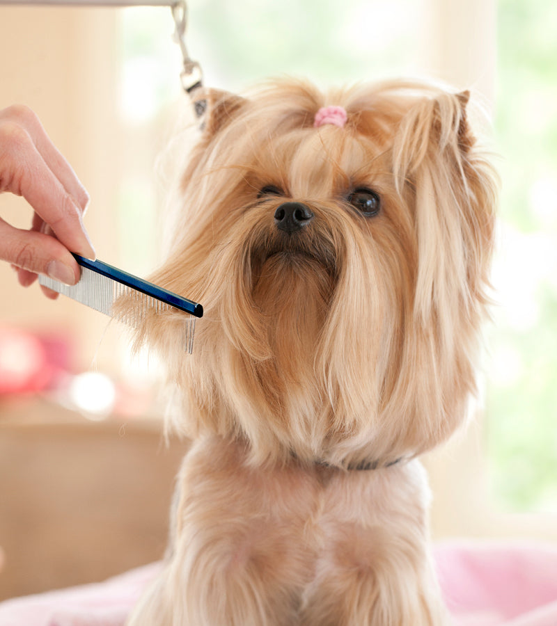 Professional Grooming Combs