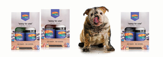 ‘Easy To Use’ Dog Shampoo and Conditioner Packs