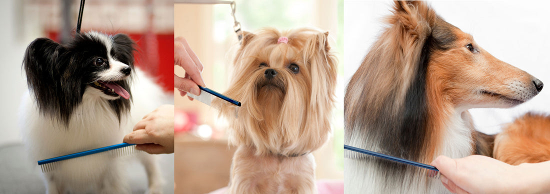 Shape And Style With Our Professional Dog Grooming Combs