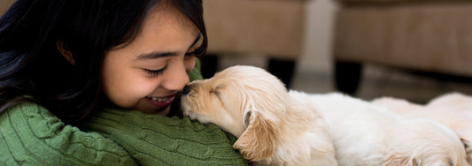 Why You Should Groom Your Puppy From An Early Age