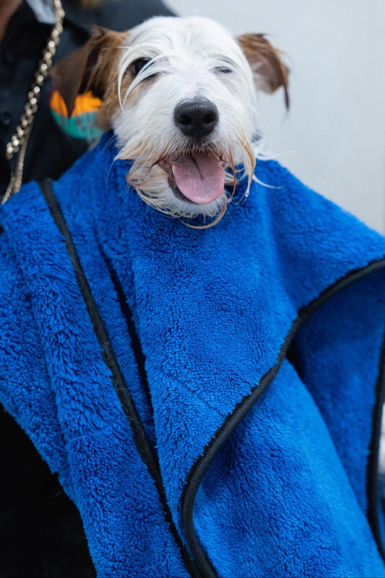 Grooming Towels