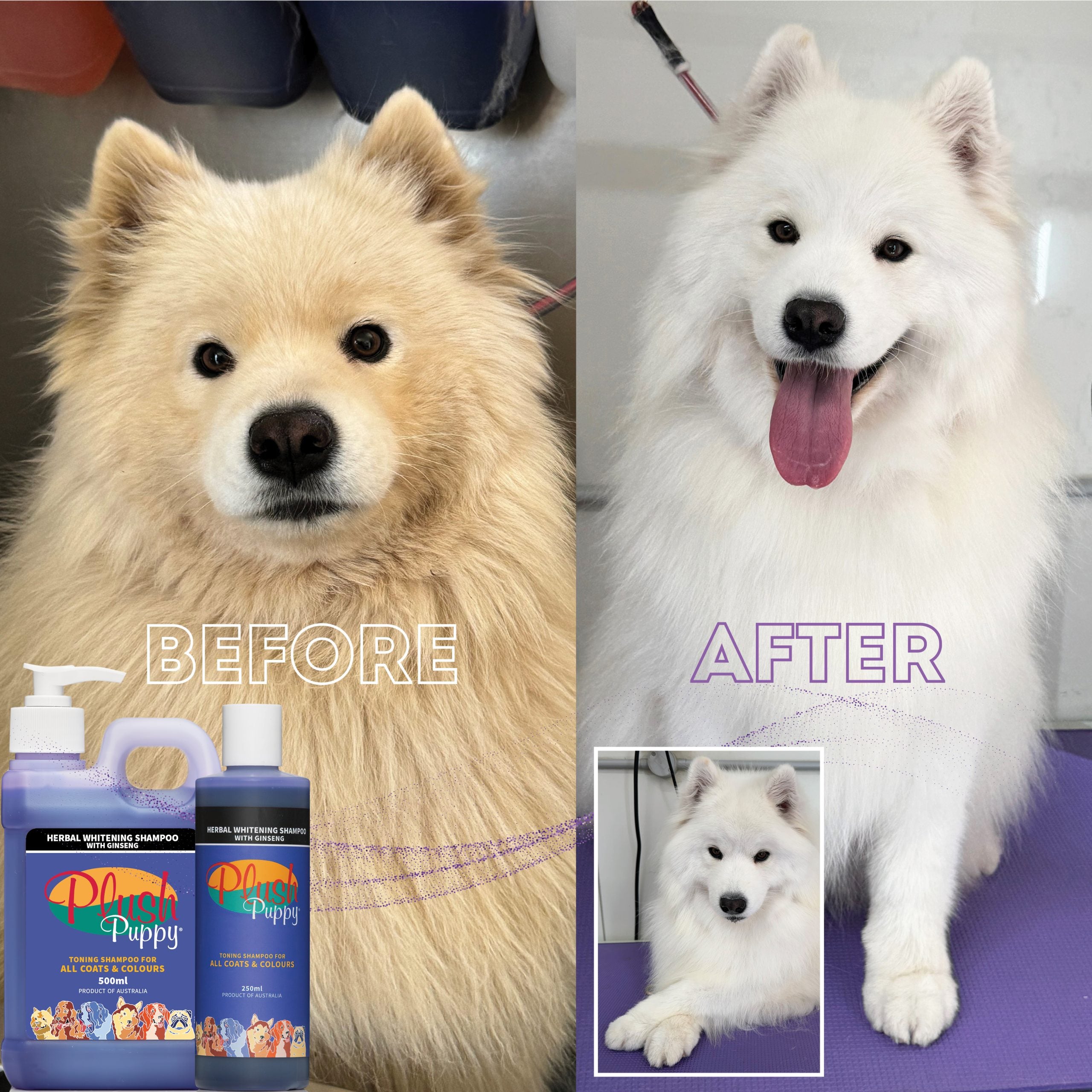 Herbal Whitening Shampoo with Ginseng Plush Puppy Slovenia