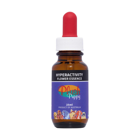 Hyperactivity Flower Essence Drops