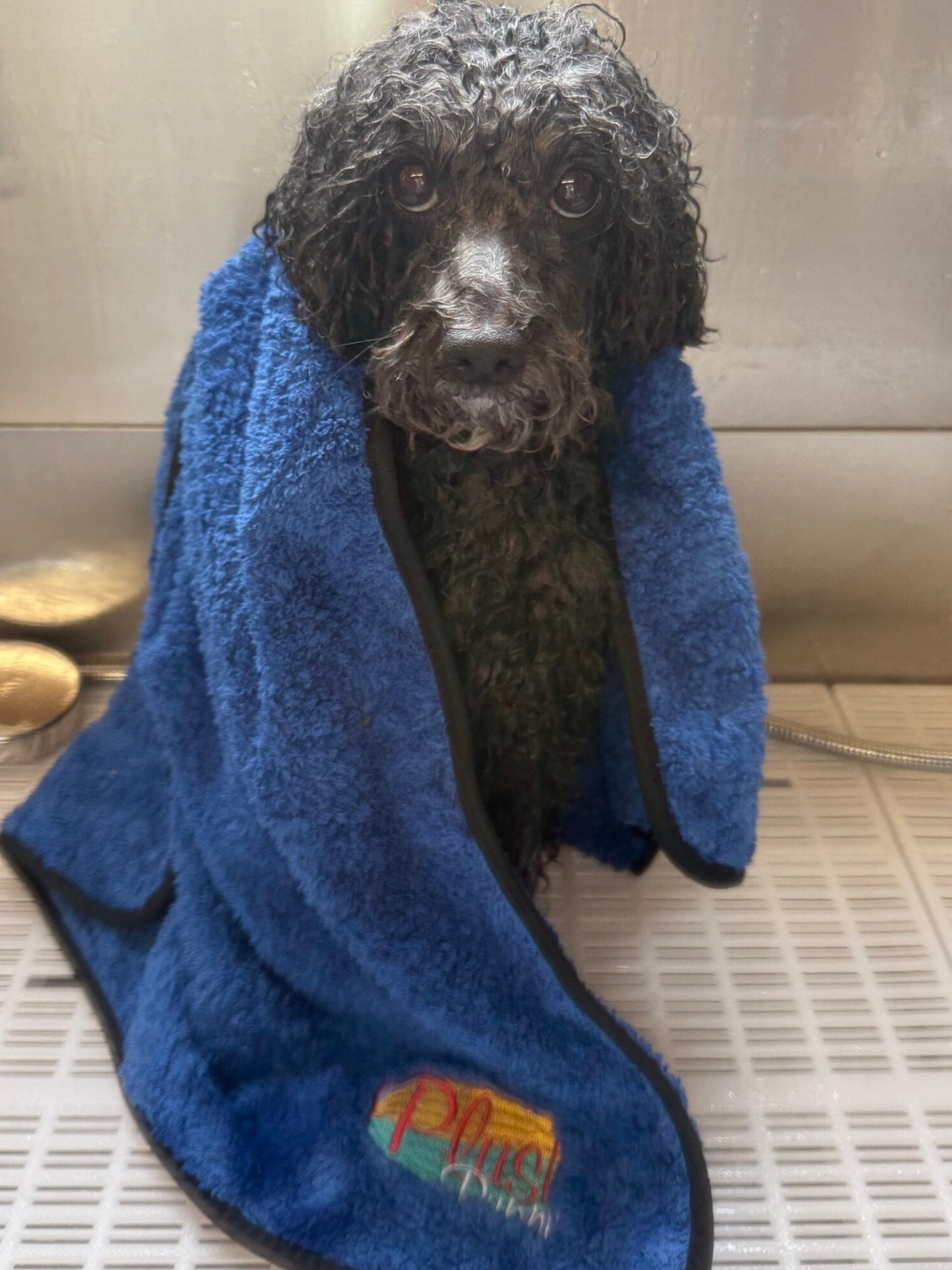 Grooming Towels